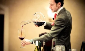 Acessórios Para Vinho