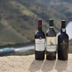 Melhores Vinhos Do Brasil