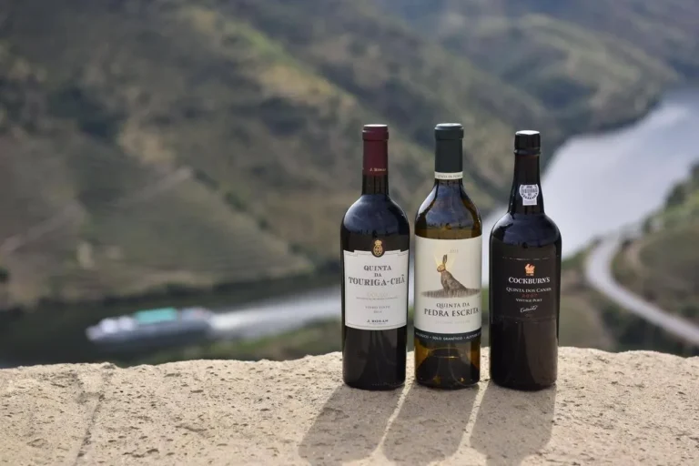 Melhores Vinhos Do Brasil
