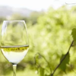Harmonização Com Vinho Verde